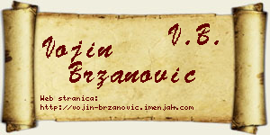 Vojin Brzanović vizit kartica